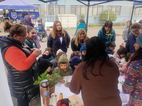 Feria del medio ambiente